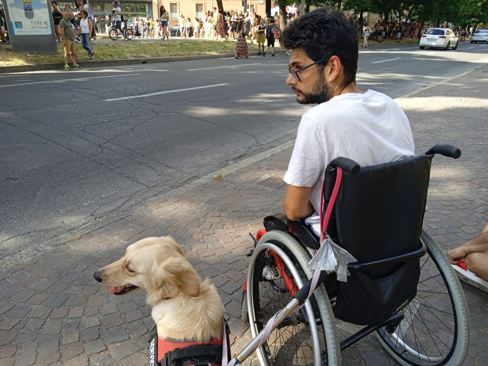 Preparazione cani da supporto a disabili a bologna, emilia romagna